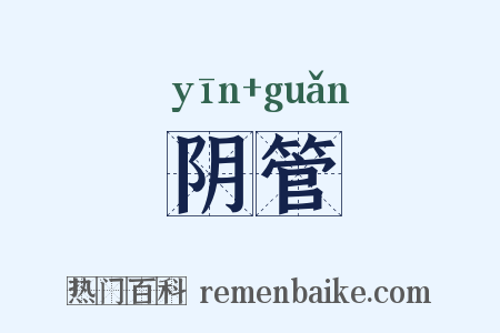 阴管是什么意思的图片